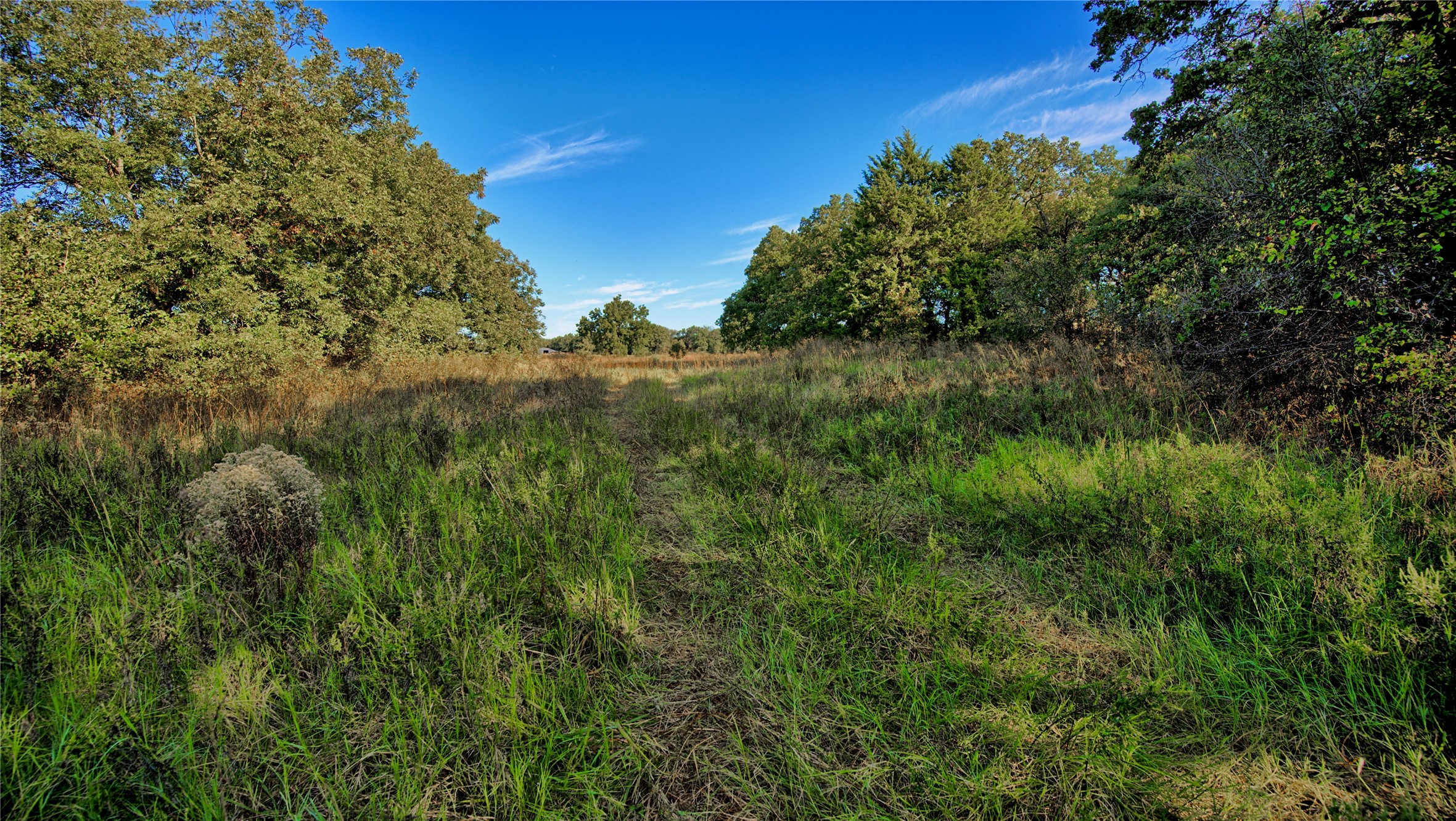 Tbd 4 Wire Road Bellevue TX 76228