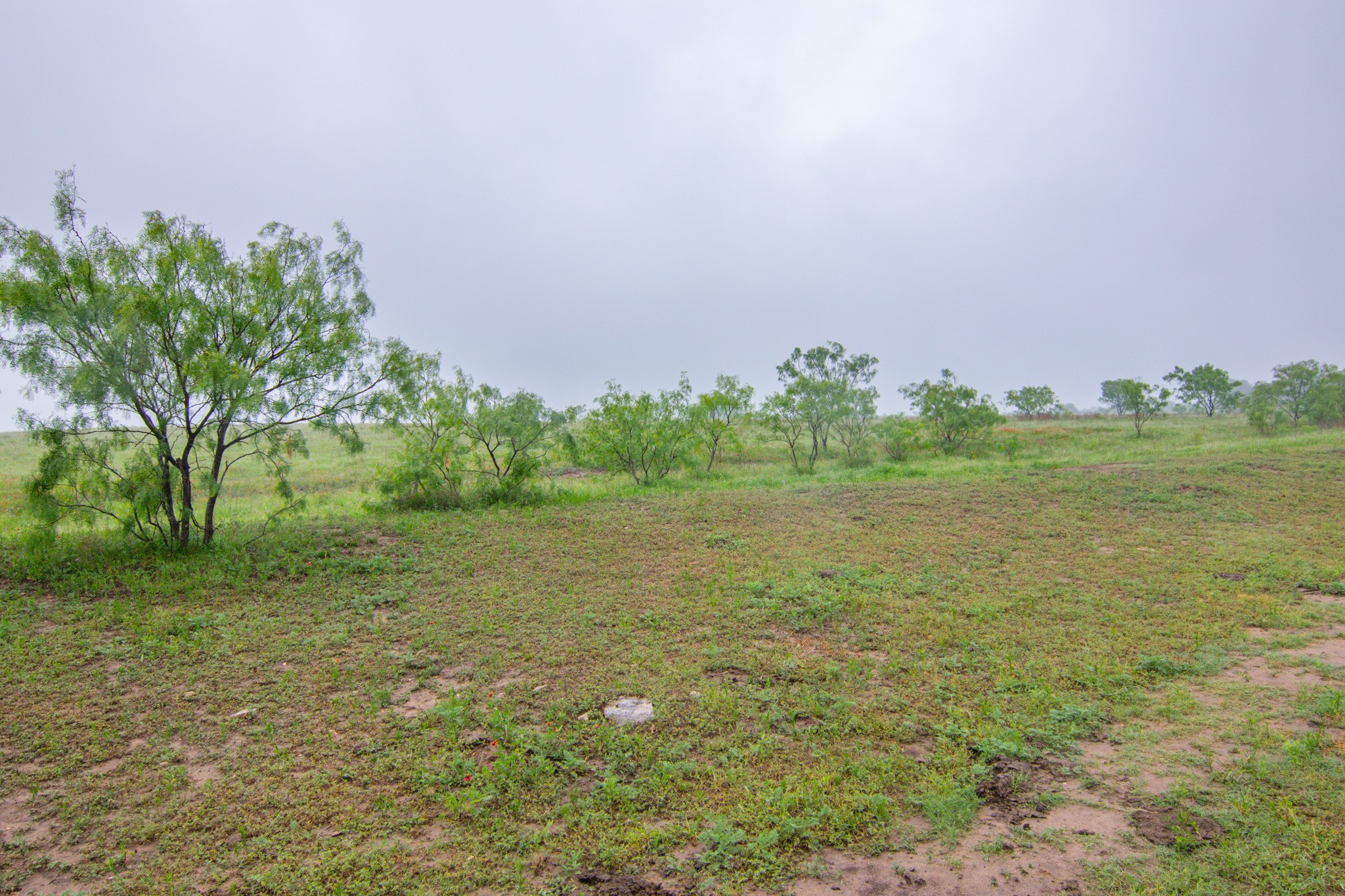 Tbd Cr 210 Comanche TX 76442