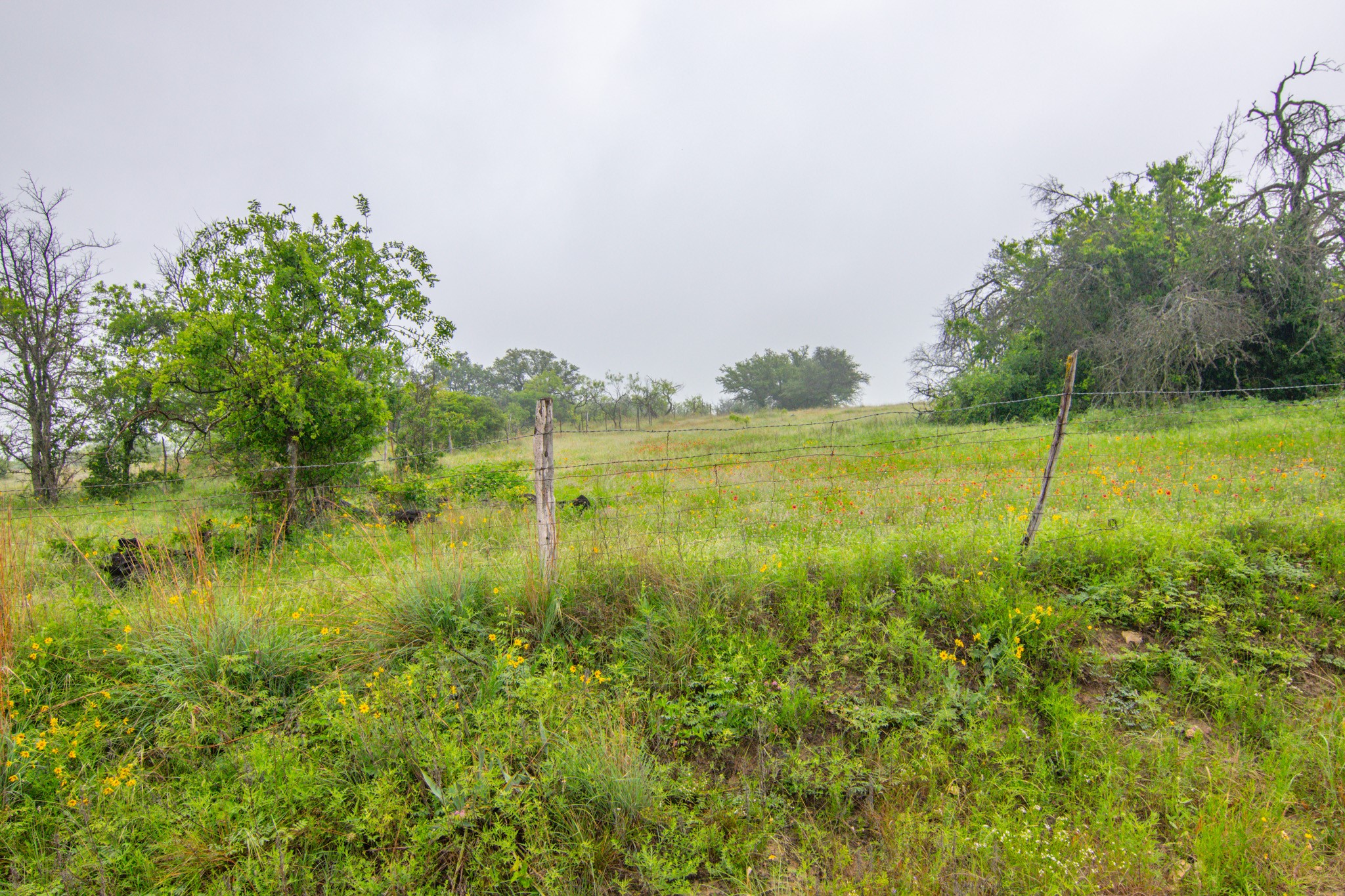 Tbd Cr 210 Comanche TX 76442