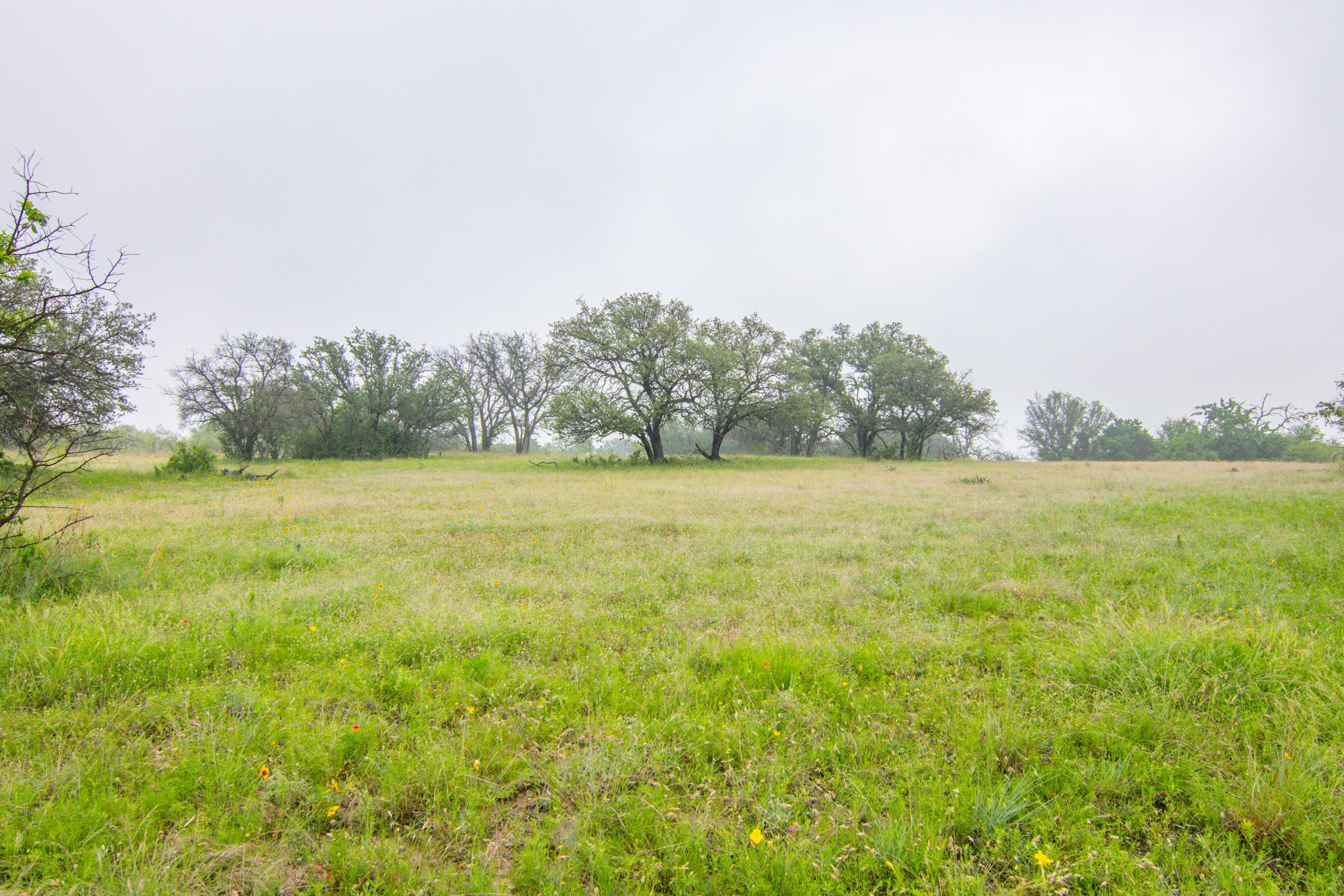 Tbd Cr 210 Comanche TX 76442