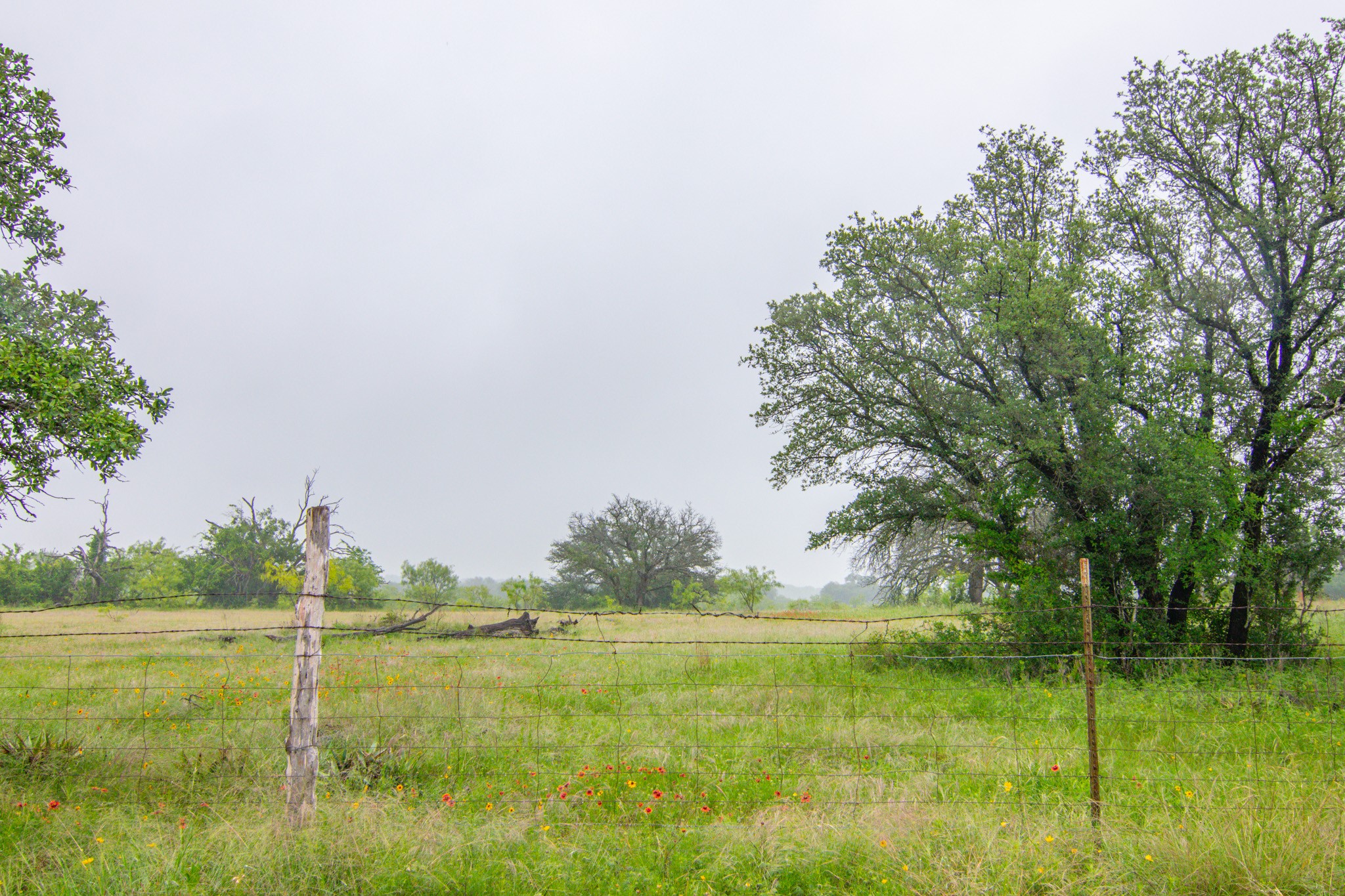 Tbd Cr 210 Comanche TX 76442
