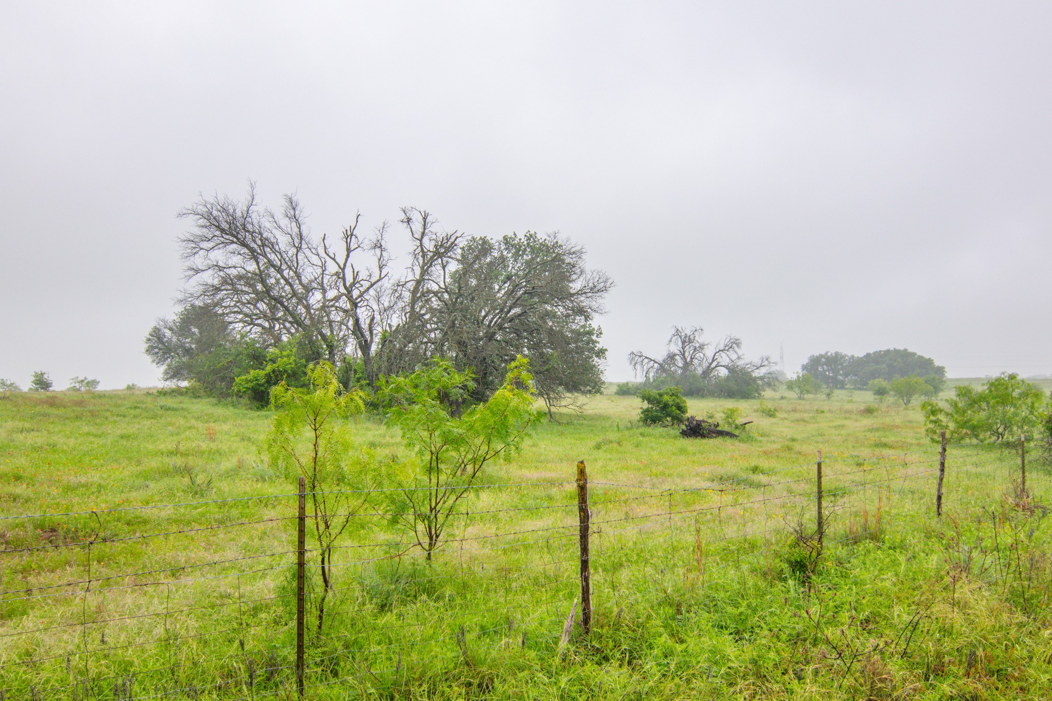 Tbd Cr 210 Comanche TX 76442