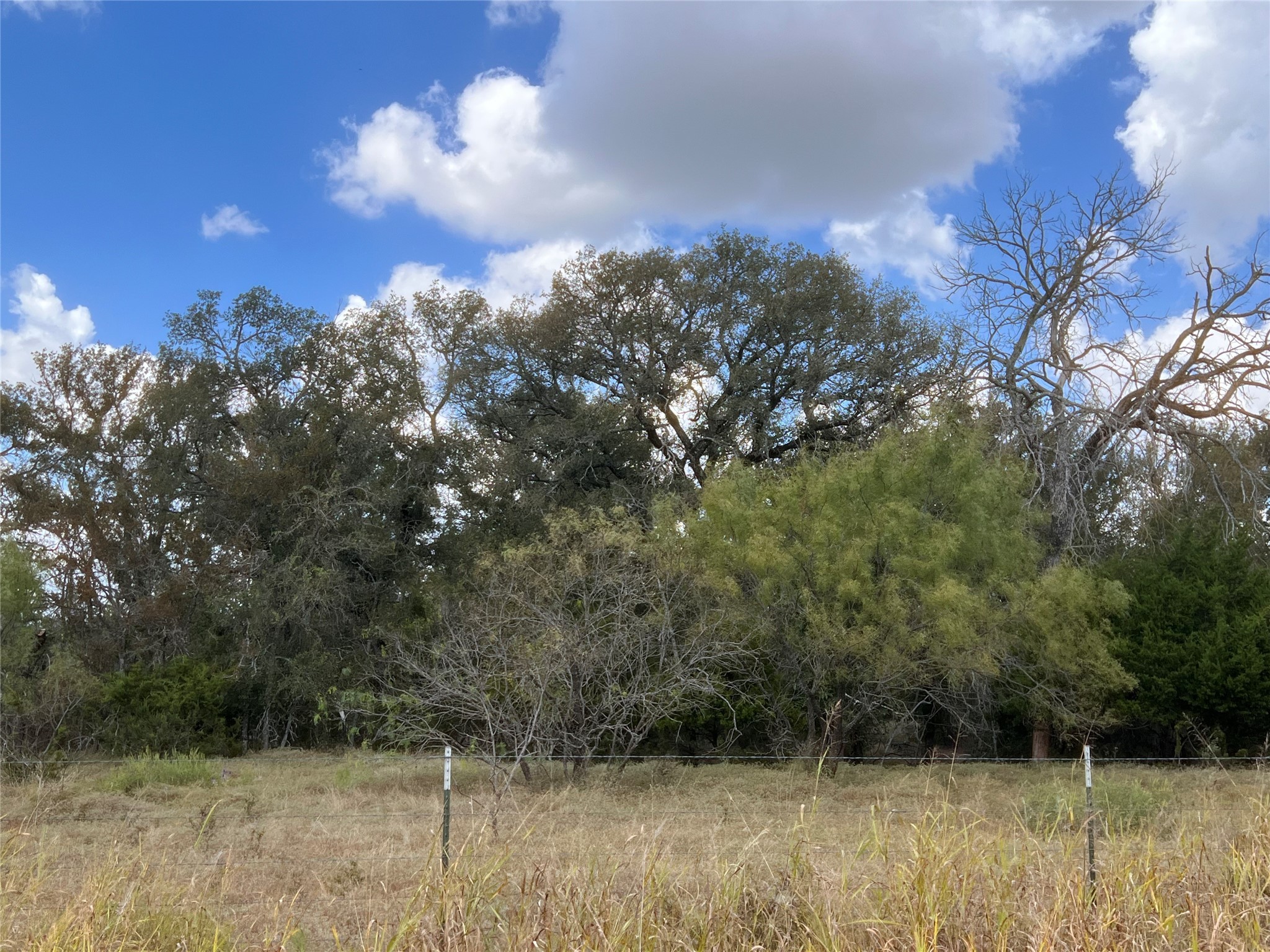 100 Cr 186 Mullin TX 76864