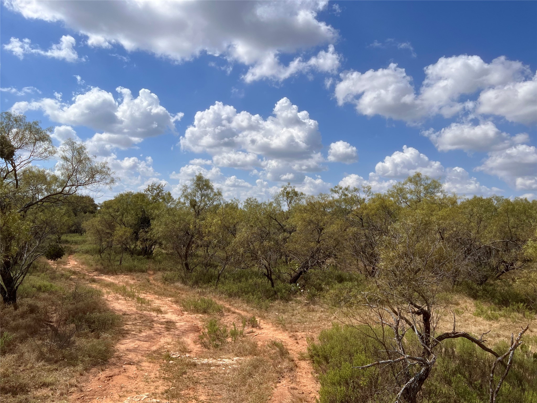 100 Cr 186 Mullin TX 76864