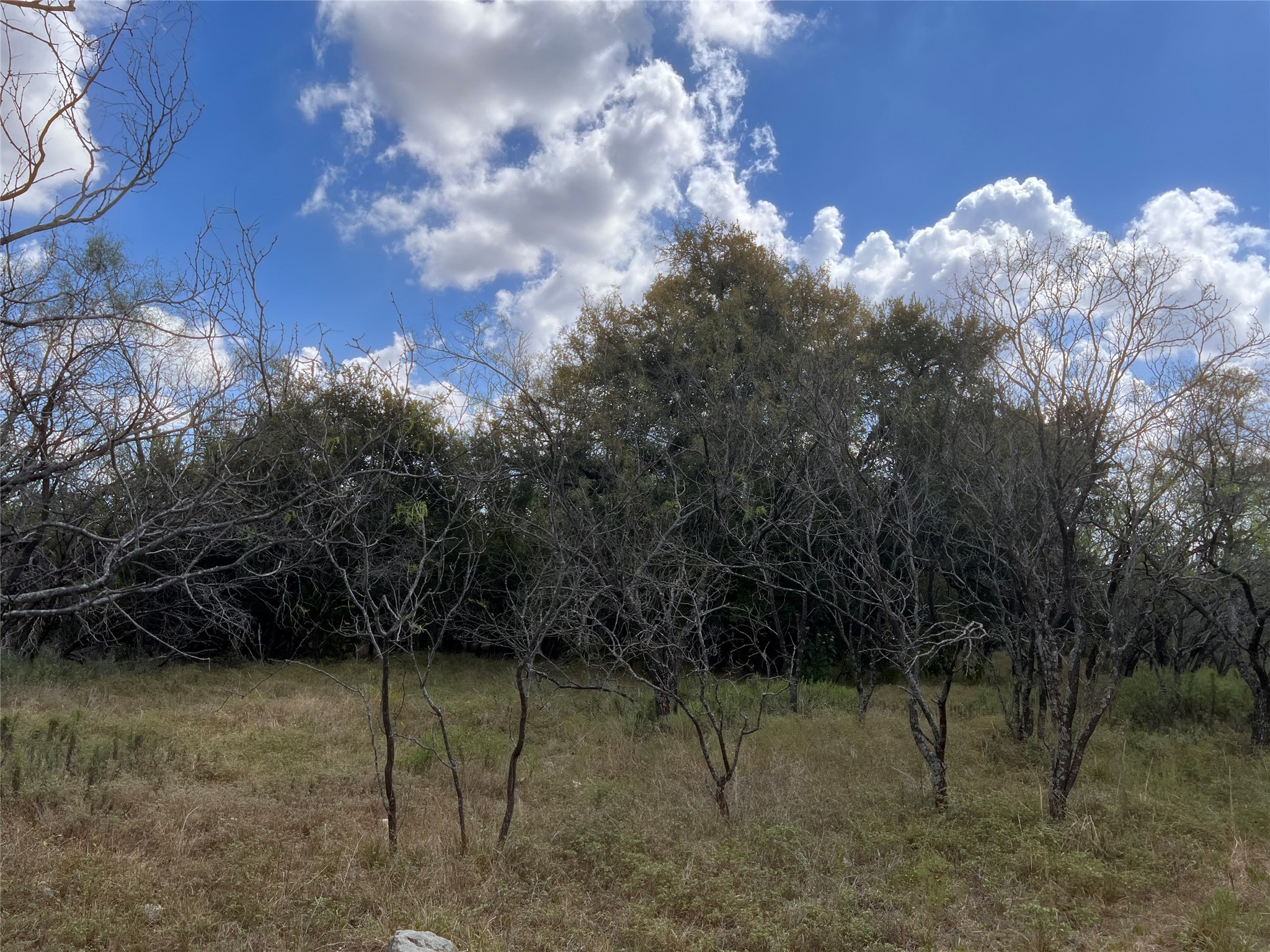 100 Cr 186 Mullin TX 76864