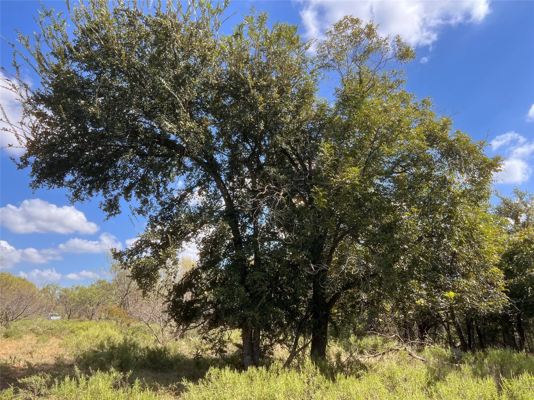 100 Cr 186 Mullin TX 76864