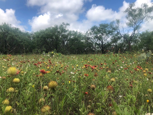 100 Cr 186 Mullin TX 76864