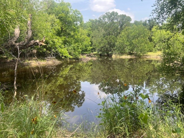 100 Cr 186 Mullin TX 76864