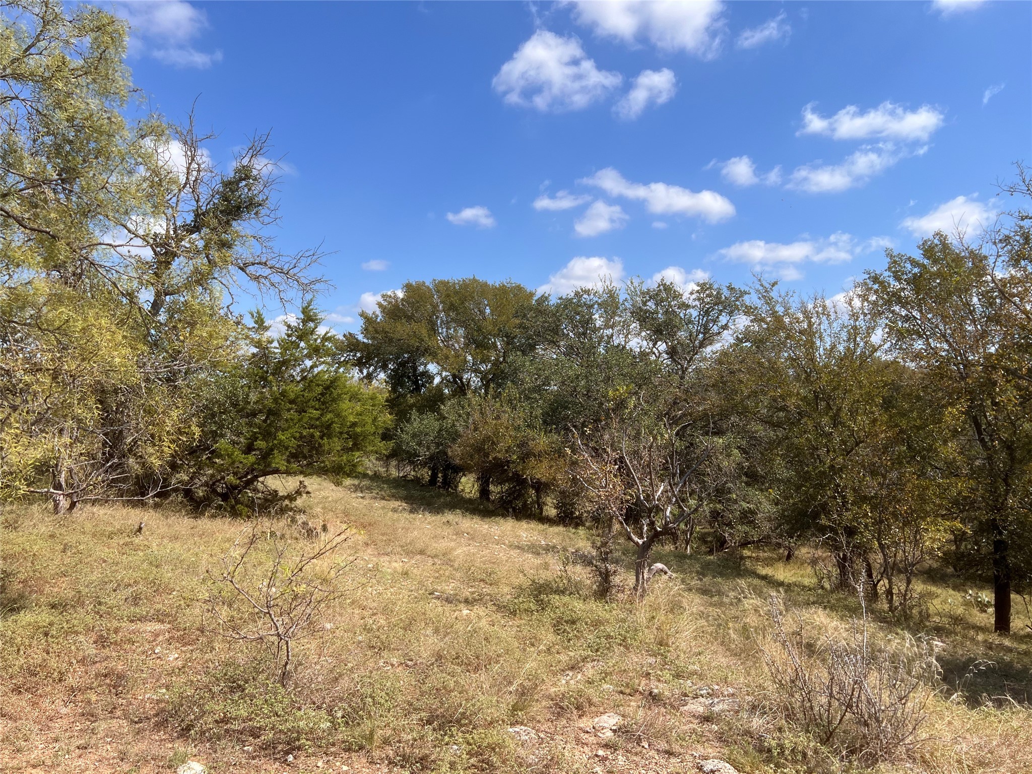 100 Cr 186 Mullin TX 76864