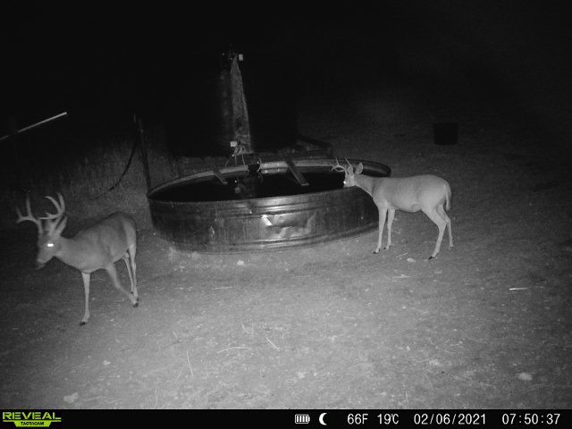 100 Cr 186 Mullin TX 76864