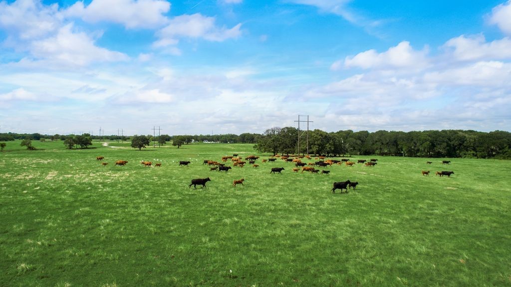 Tract 2 Co Road 153 Kaufman TX 75142