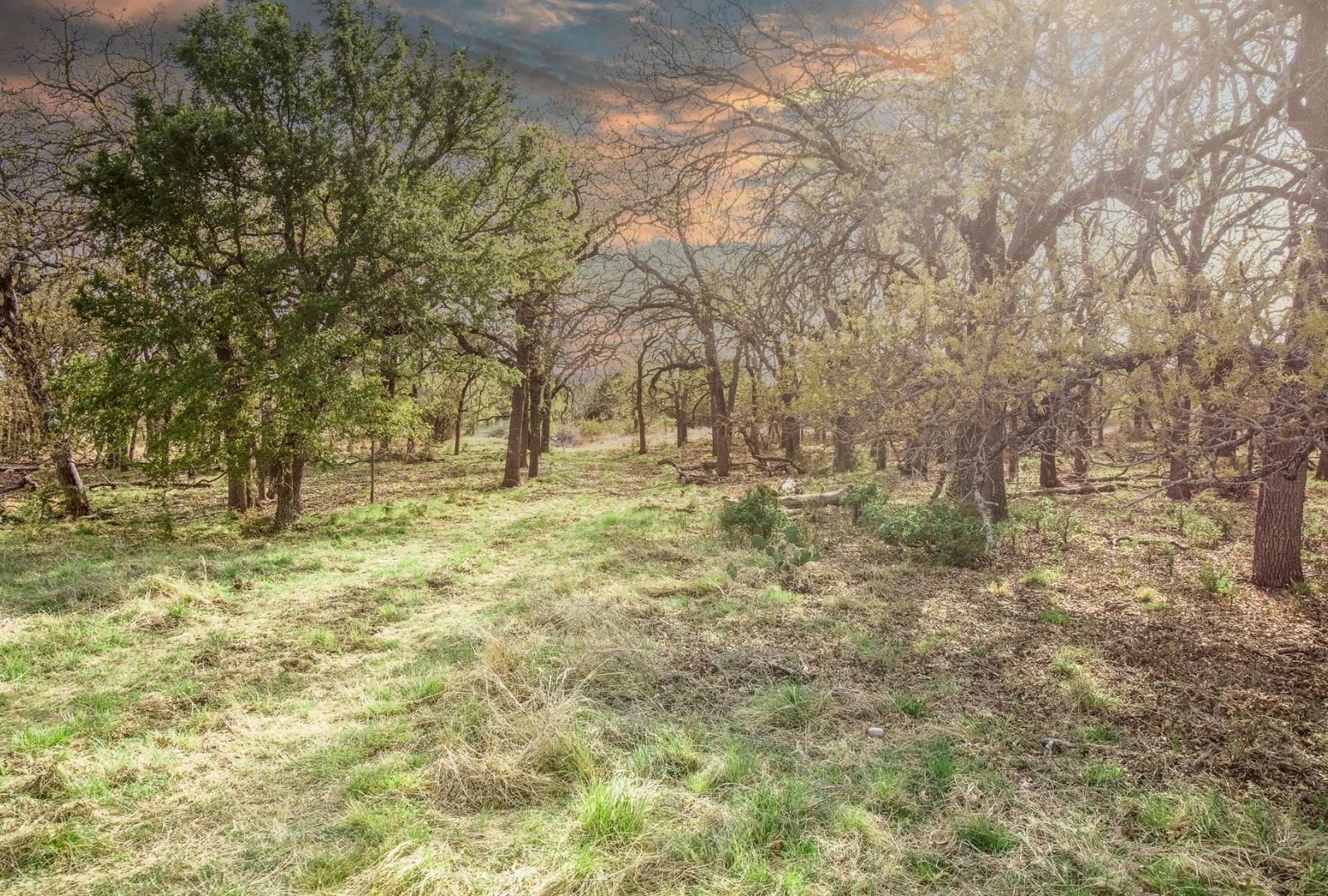 730 E Us Highway 84 Goldthwaite TX 76844