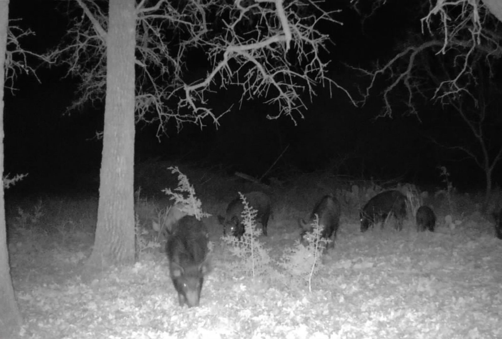 730 E Us Highway 84 Goldthwaite TX 76844