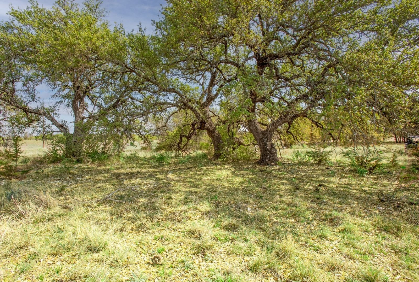 730 E Us Highway 84 Goldthwaite TX 76844
