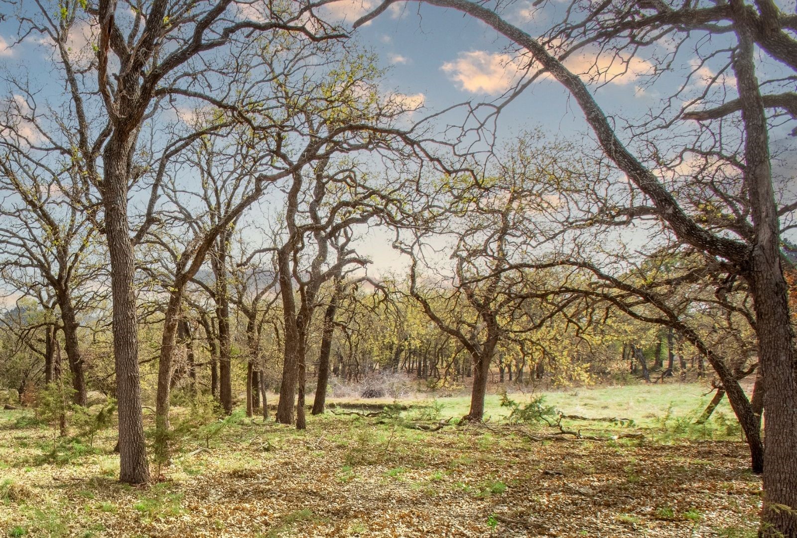 730 E Us Highway 84 Goldthwaite TX 76844
