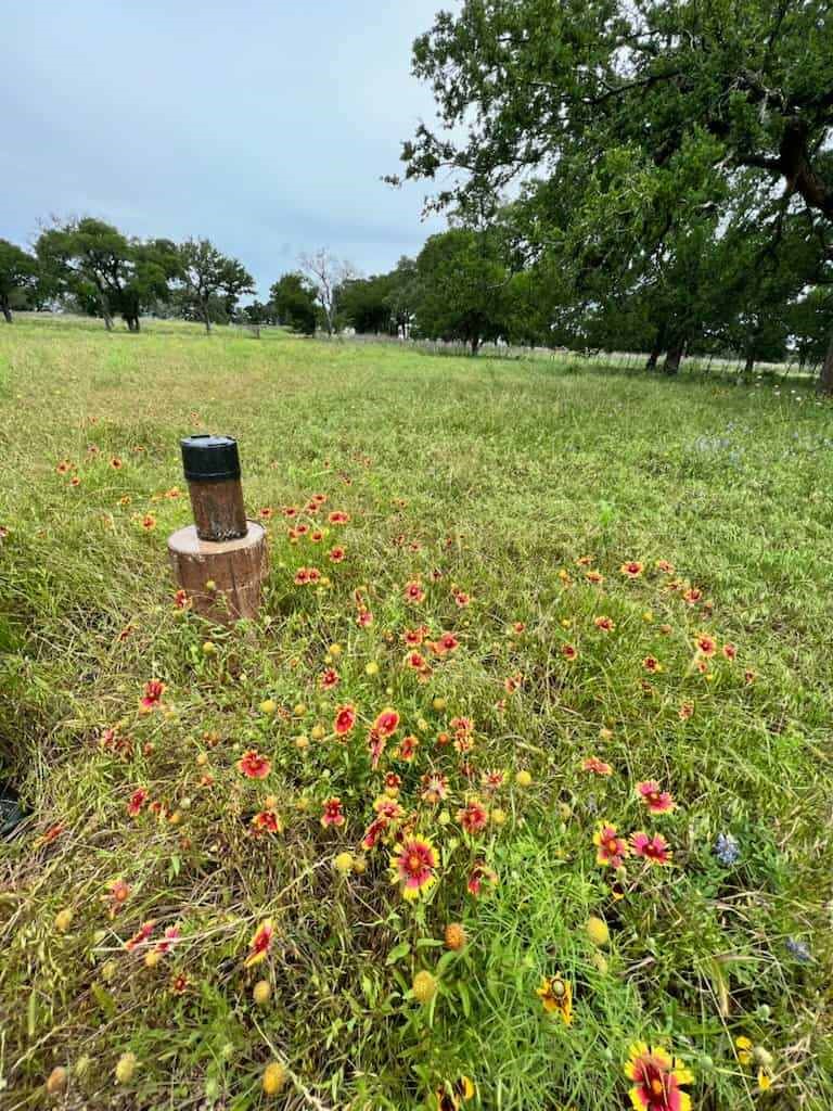 317 Yellowstone Drive Oglesby TX 76561