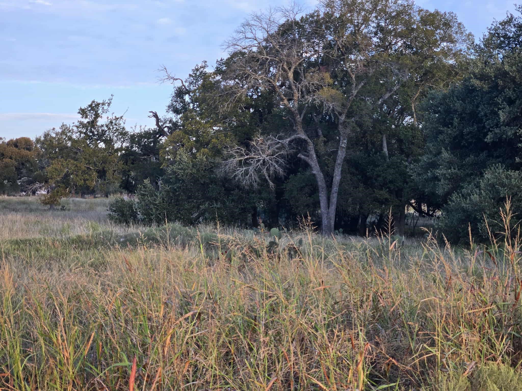 317 Yellowstone Drive Oglesby TX 76561