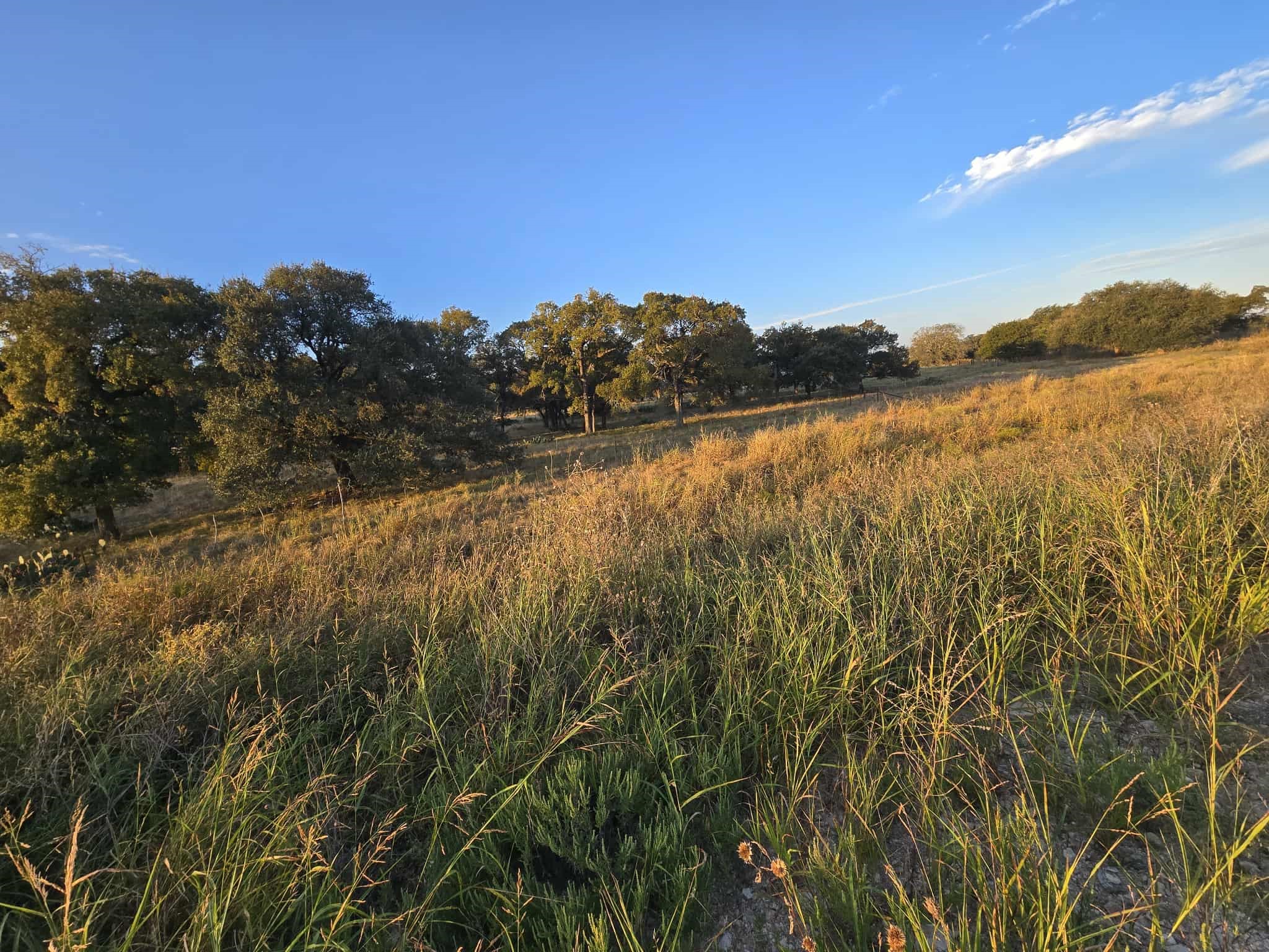 317 Yellowstone Drive Oglesby TX 76561