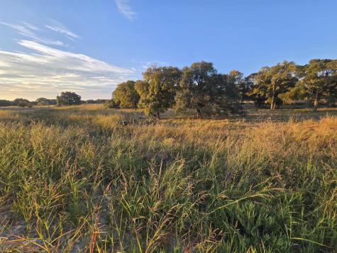 317 Yellowstone Drive Oglesby TX 76561