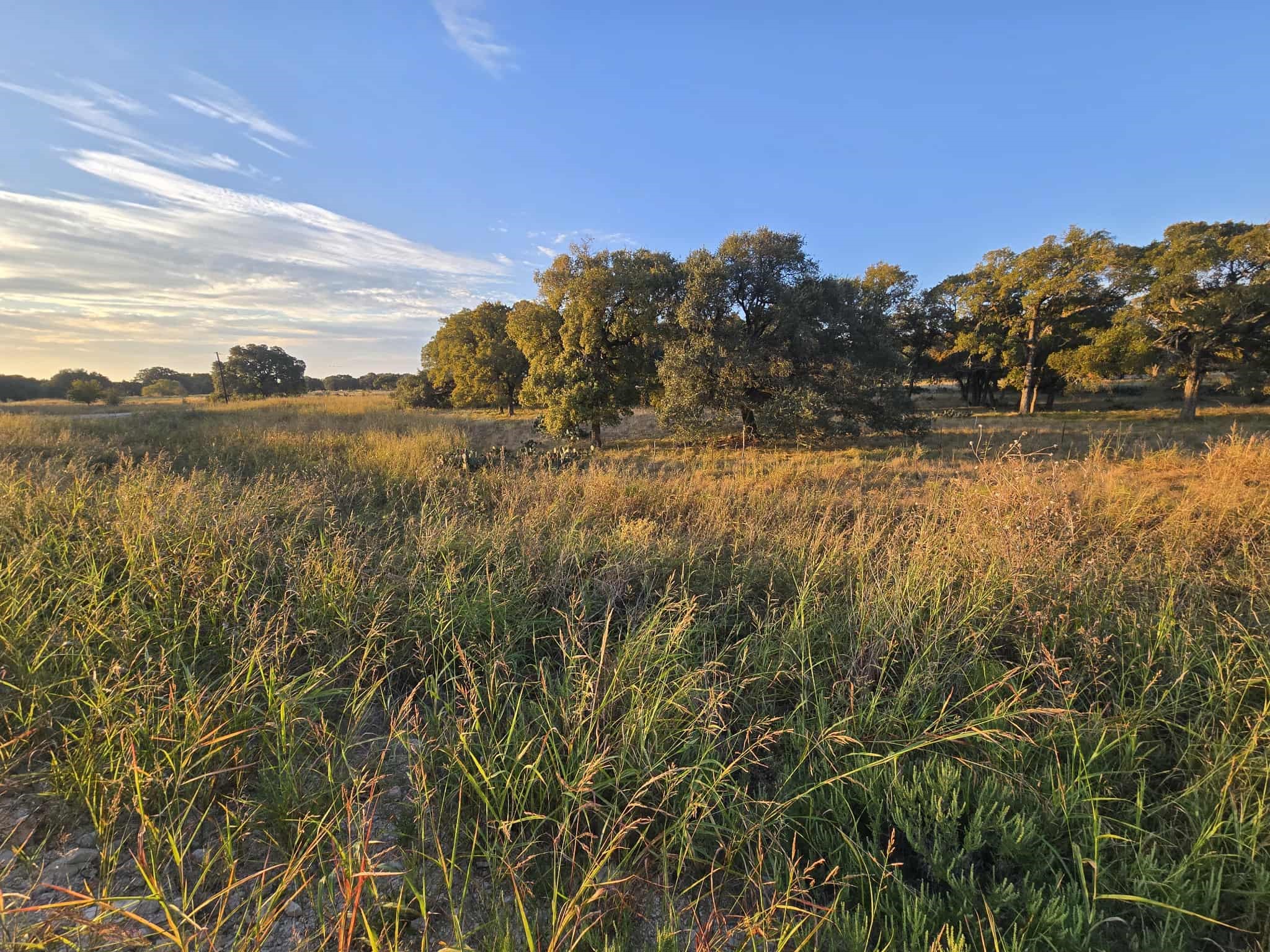 317 Yellowstone Drive Oglesby TX 76561