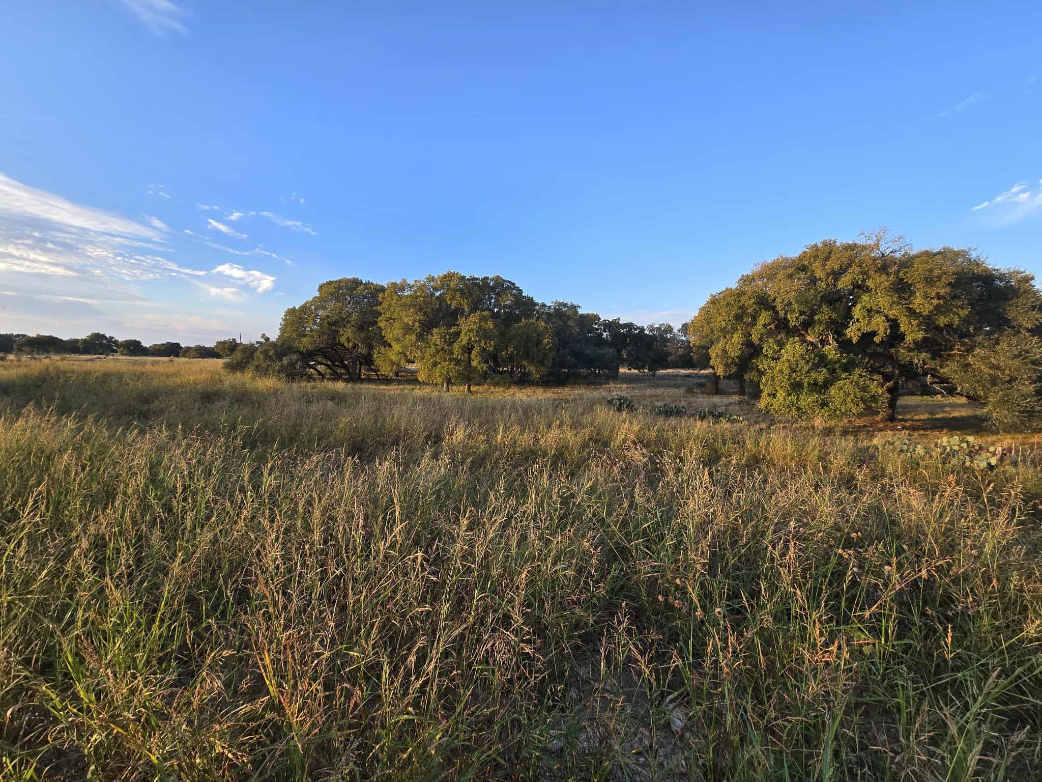317 Yellowstone Drive Oglesby TX 76561