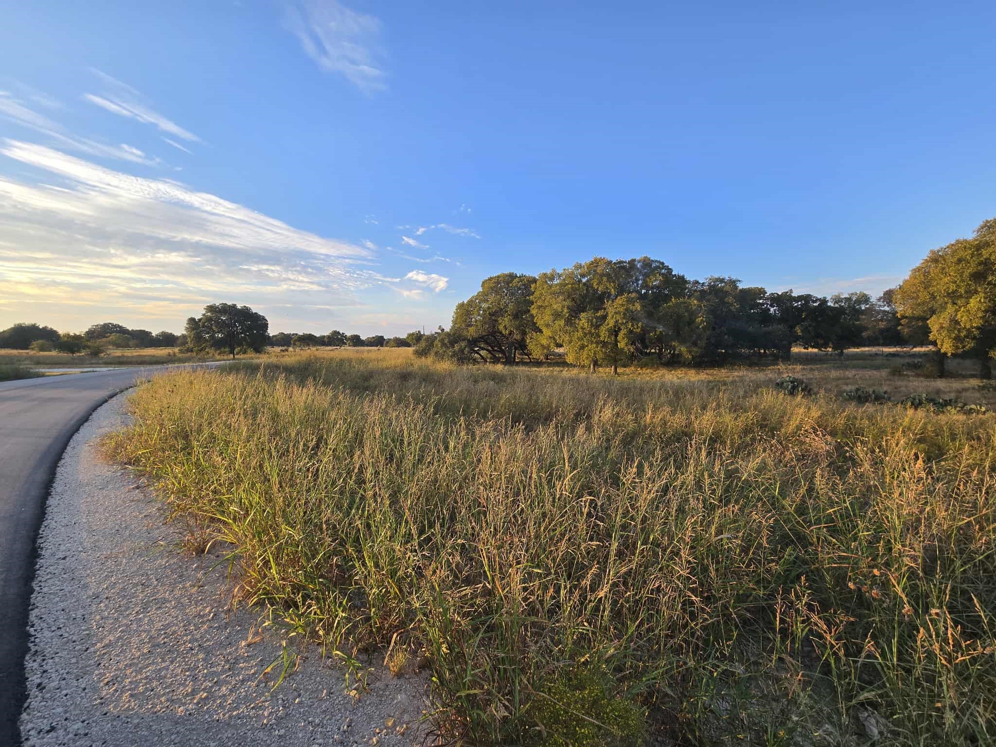 317 Yellowstone Drive Oglesby TX 76561