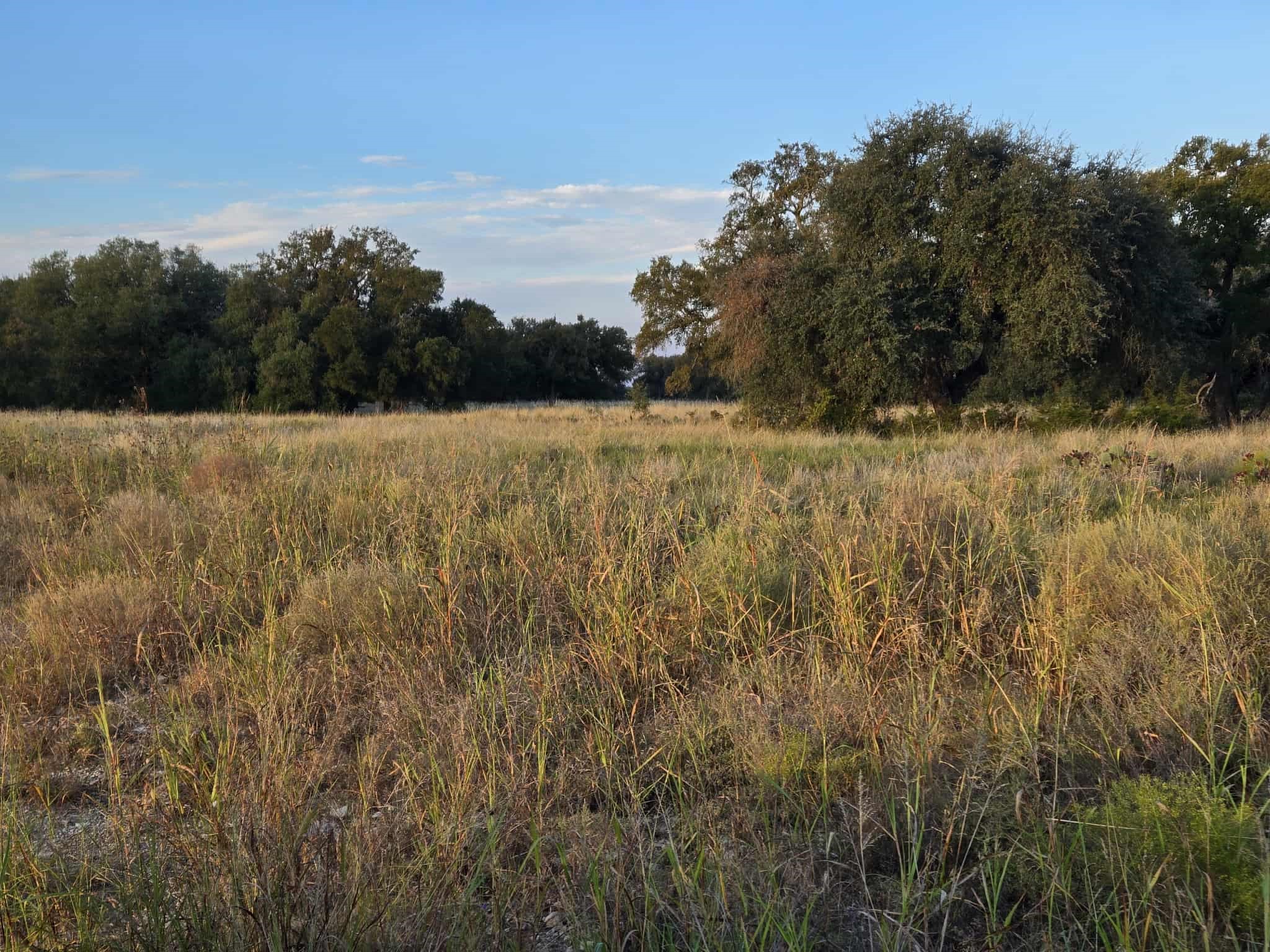 317 Yellowstone Drive Oglesby TX 76561
