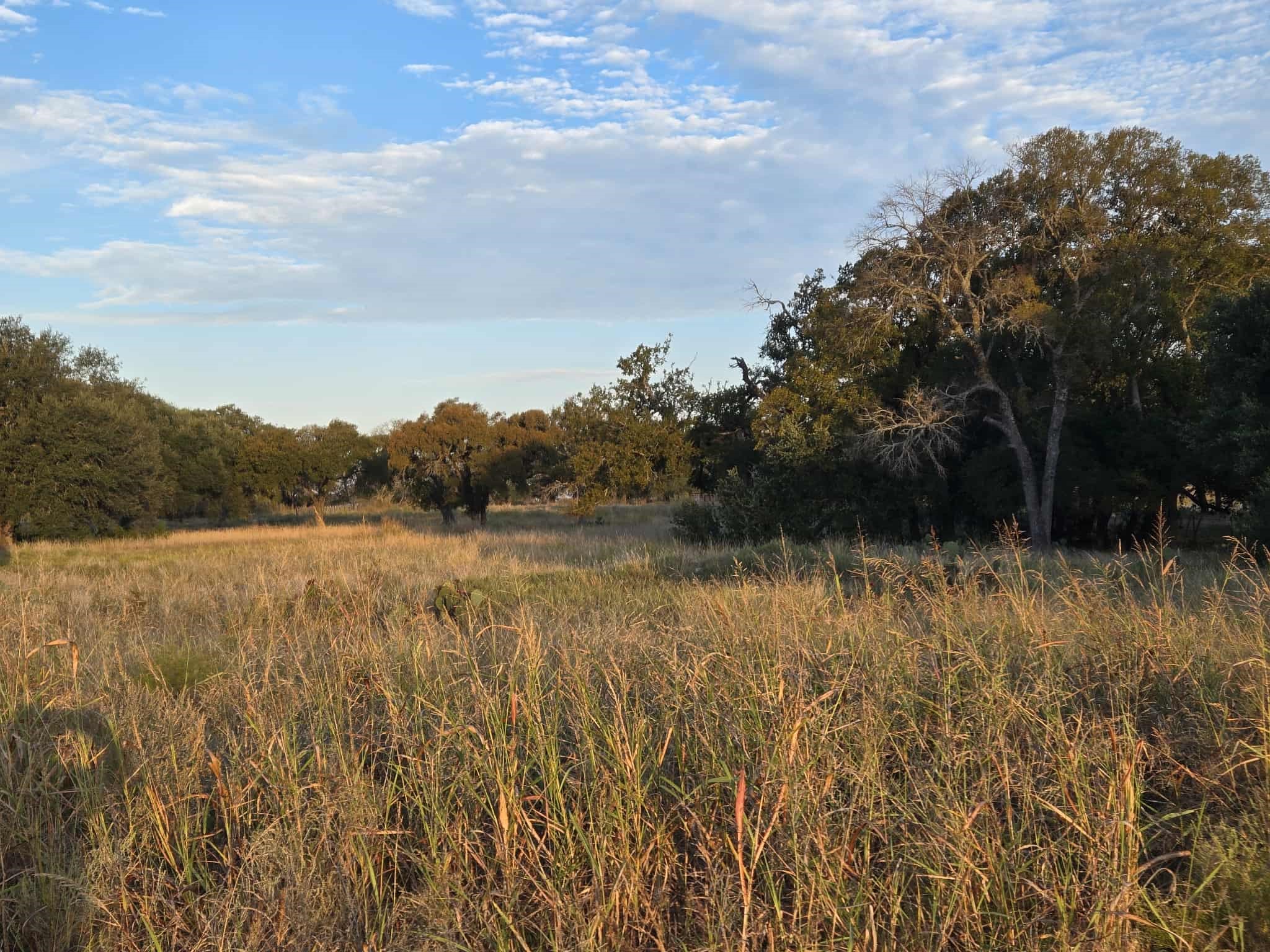 317 Yellowstone Drive Oglesby TX 76561