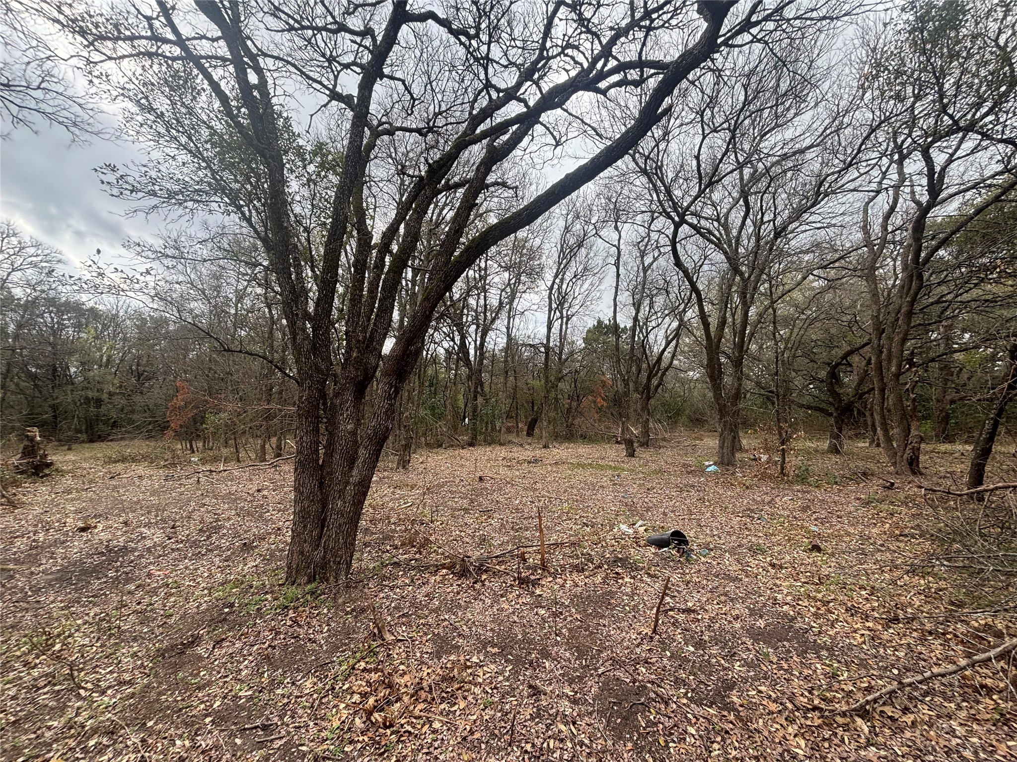 000 Virginia Waco TX 76705