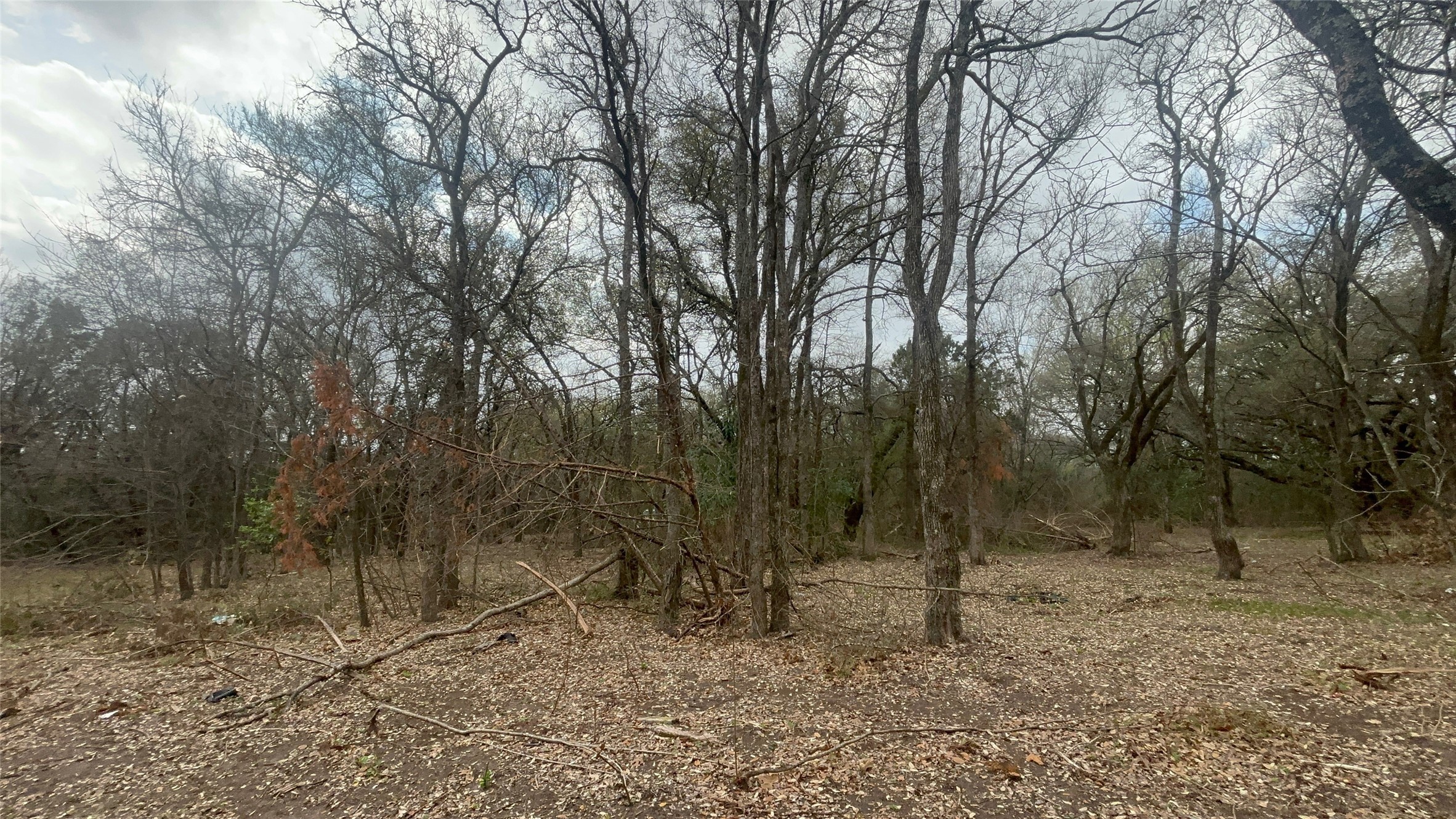 000 Virginia Waco TX 76705