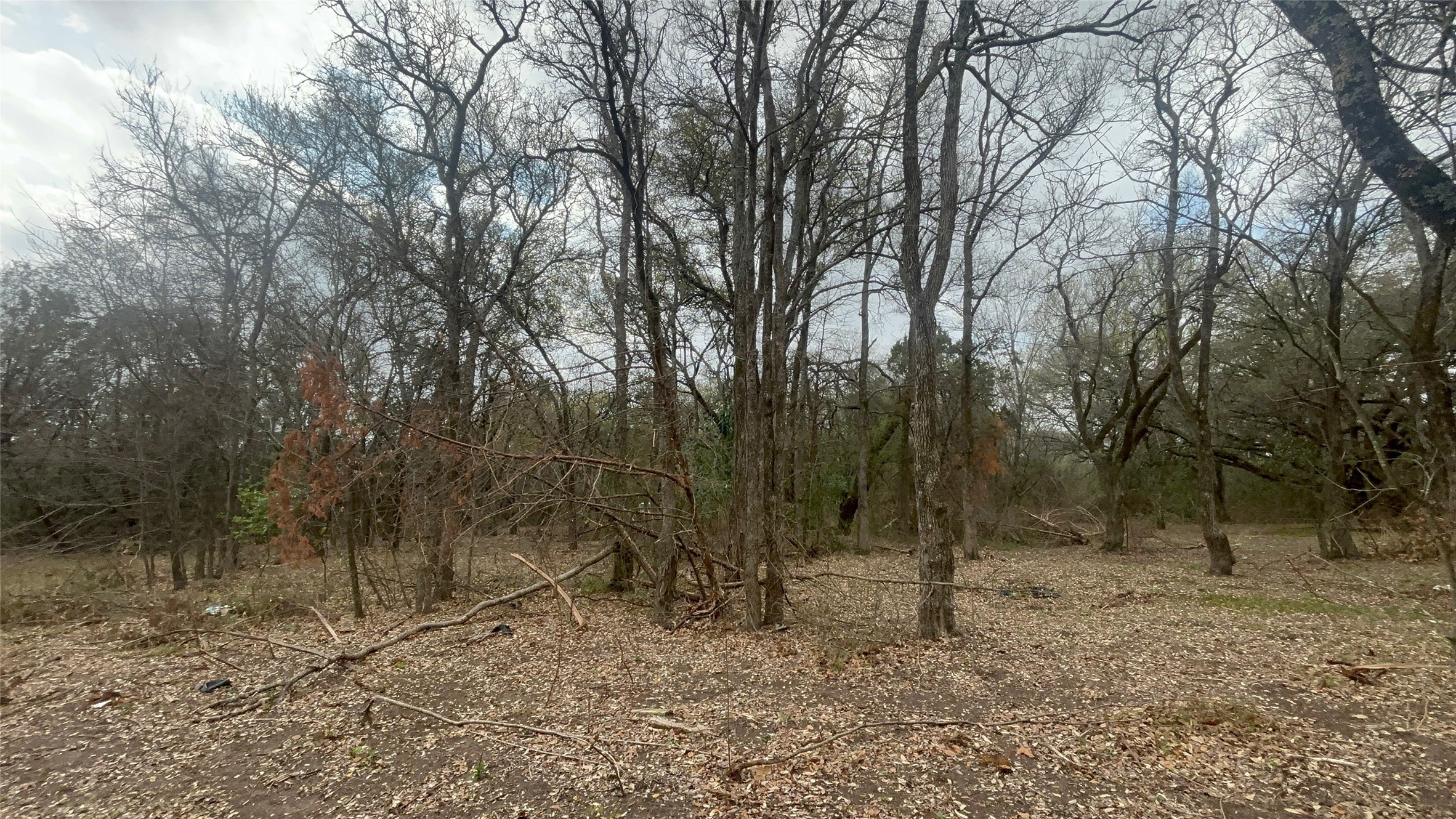 000 Virginia Waco TX 76705