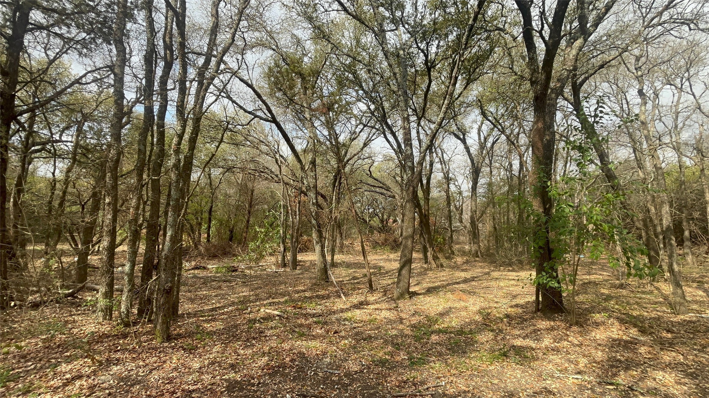 000 Virginia Waco TX 76705