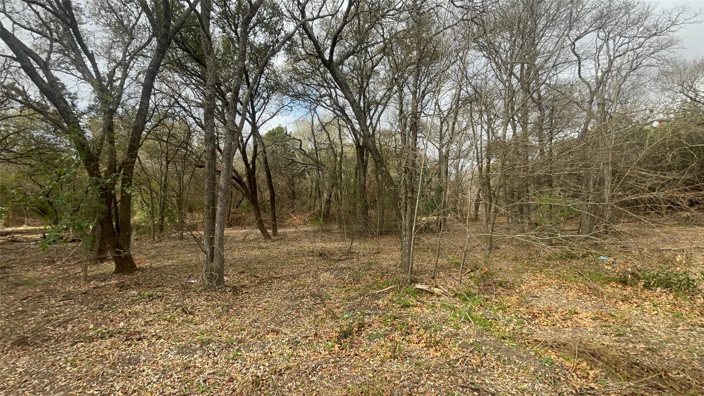 000 Virginia Waco TX 76705