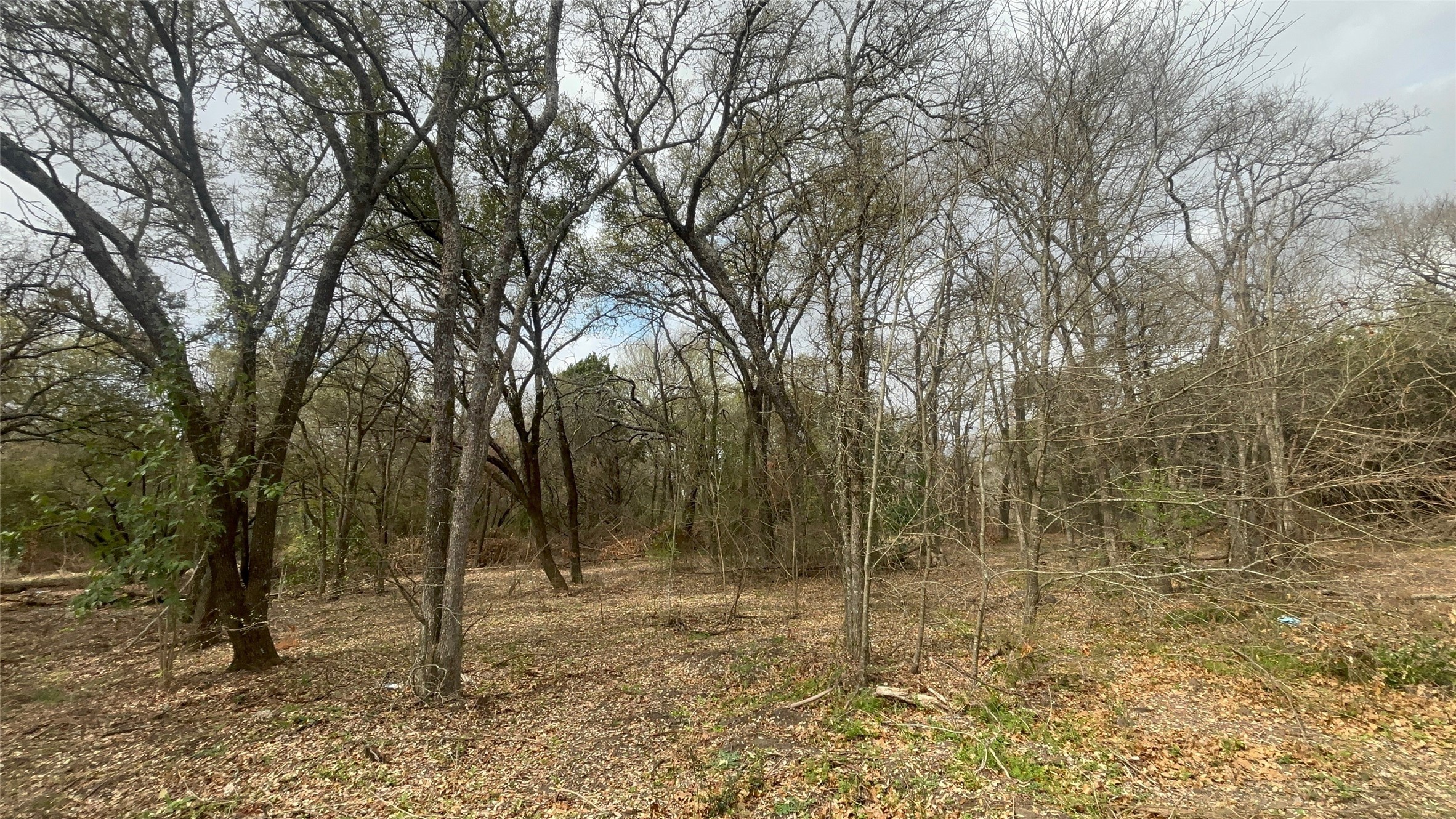 000 Virginia Waco TX 76705