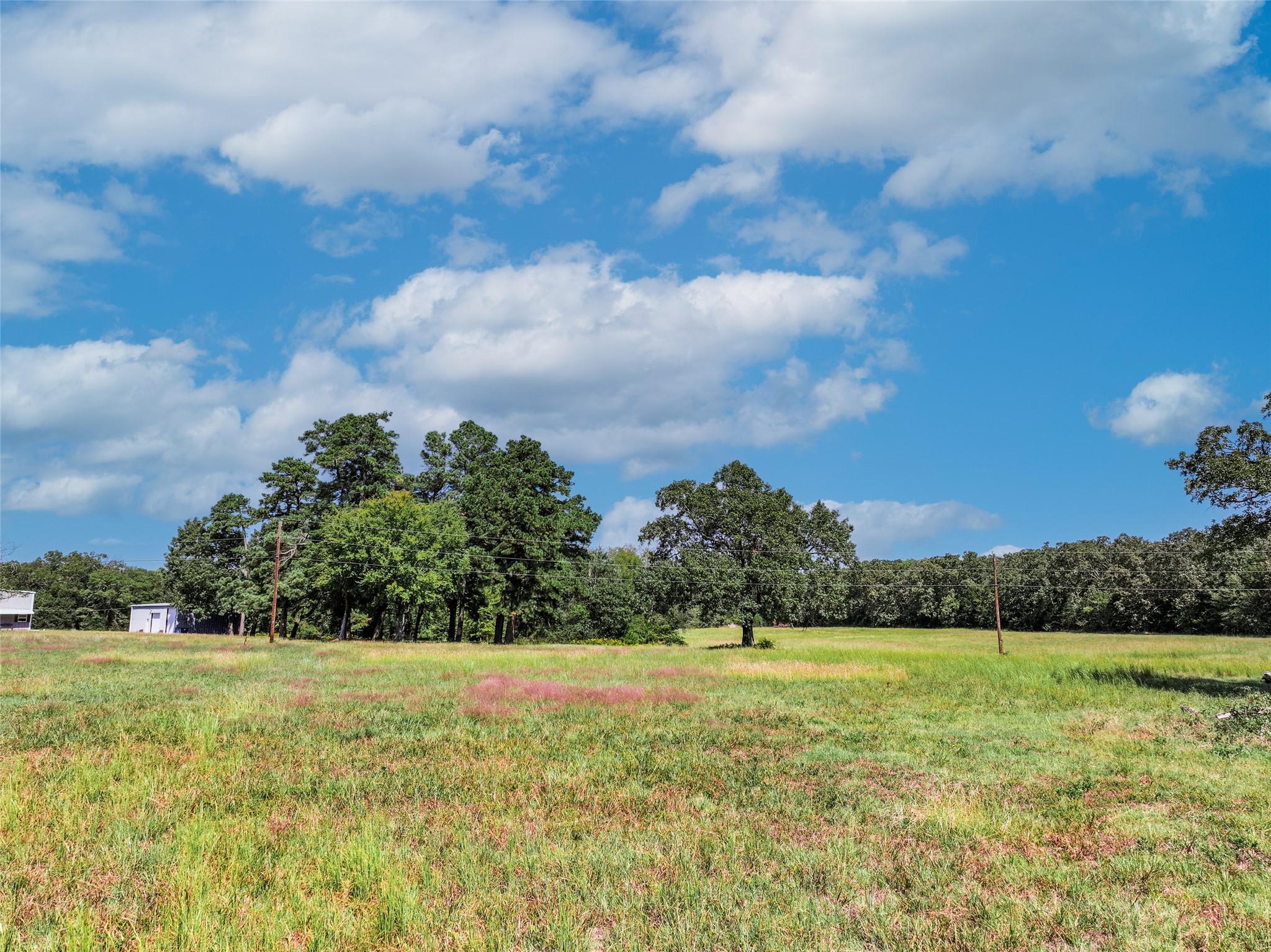 Tbd 6.5 Acres County Road 1160 Brashear TX 75420