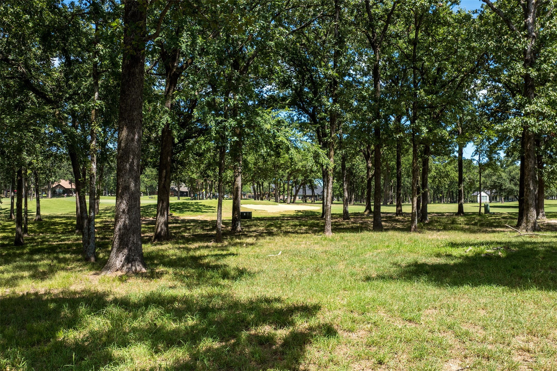 371 Saint Andrews Drive Mabank TX 75156