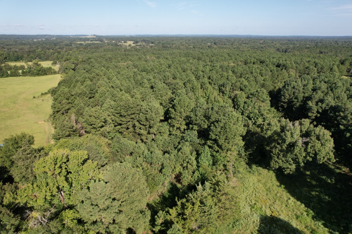 Tbd County Road 168-1 Long Branch TX 75669