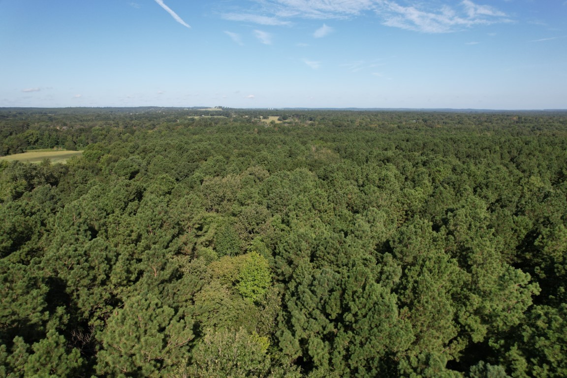 Tbd County Road 168-1 Long Branch TX 75669
