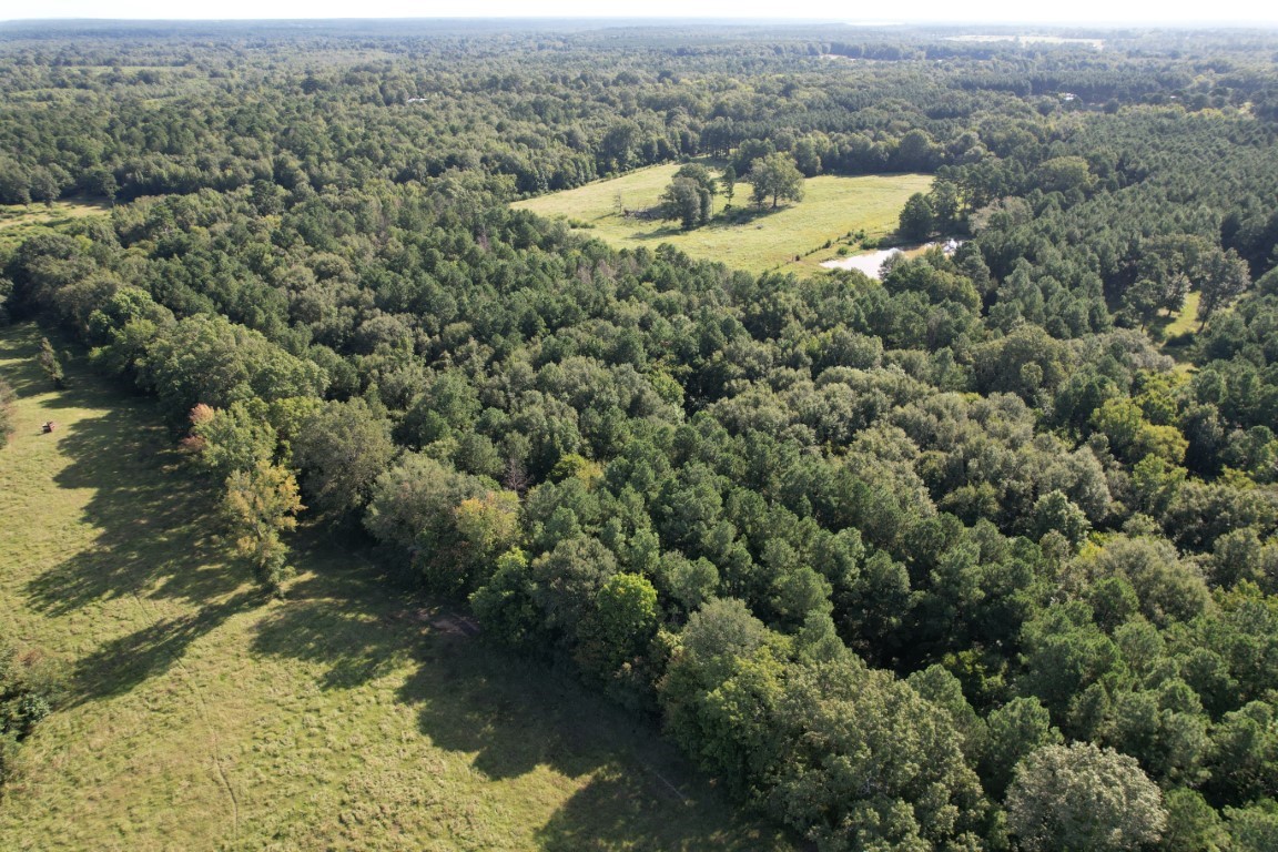 Tbd County Road 168-1 Long Branch TX 75669