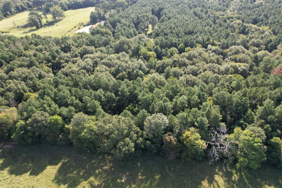 Tbd County Road 168-1 Long Branch TX 75669