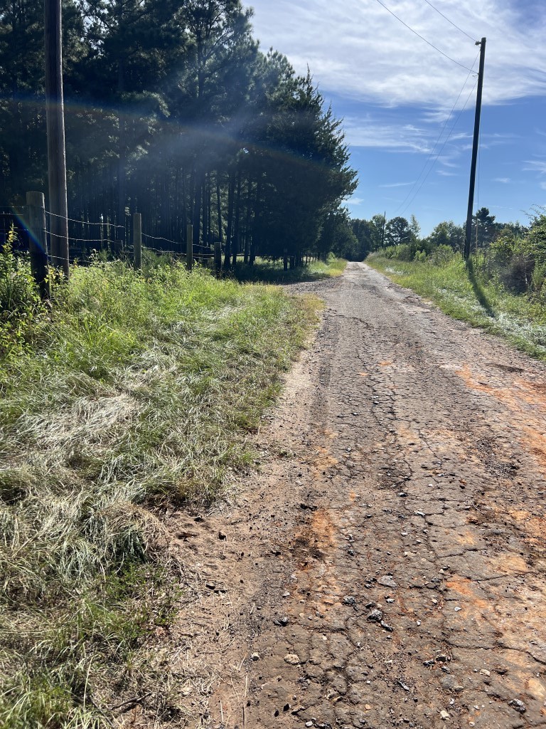 Tbd County Road 168-1 Long Branch TX 75669