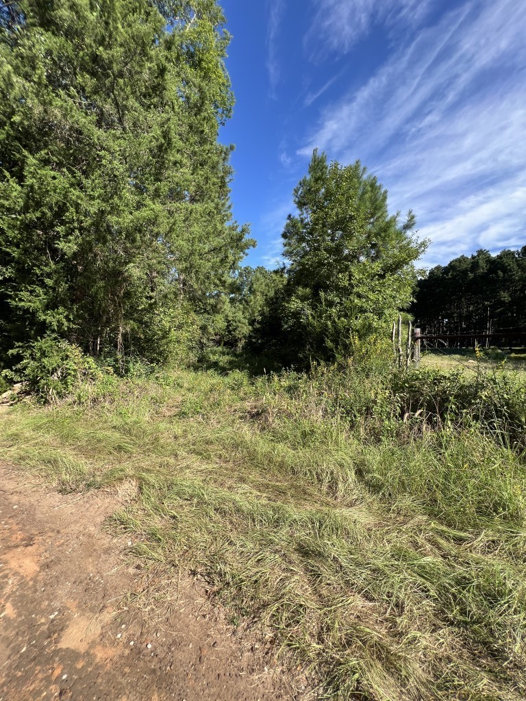 Tbd County Road 168-1 Long Branch TX 75669