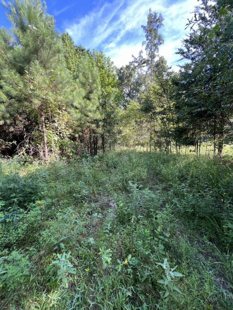 Tbd County Road 168-1 Long Branch TX 75669