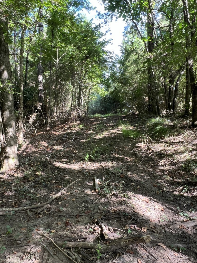 Tbd County Road 168-1 Long Branch TX 75669