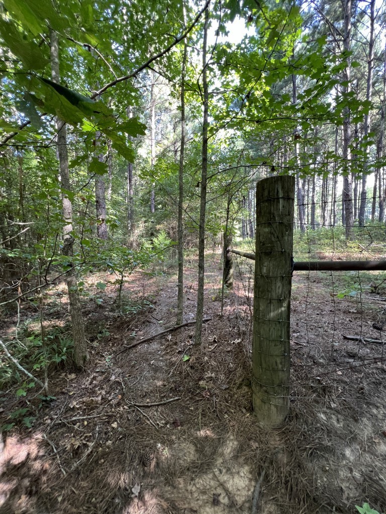 Tbd County Road 168-1 Long Branch TX 75669