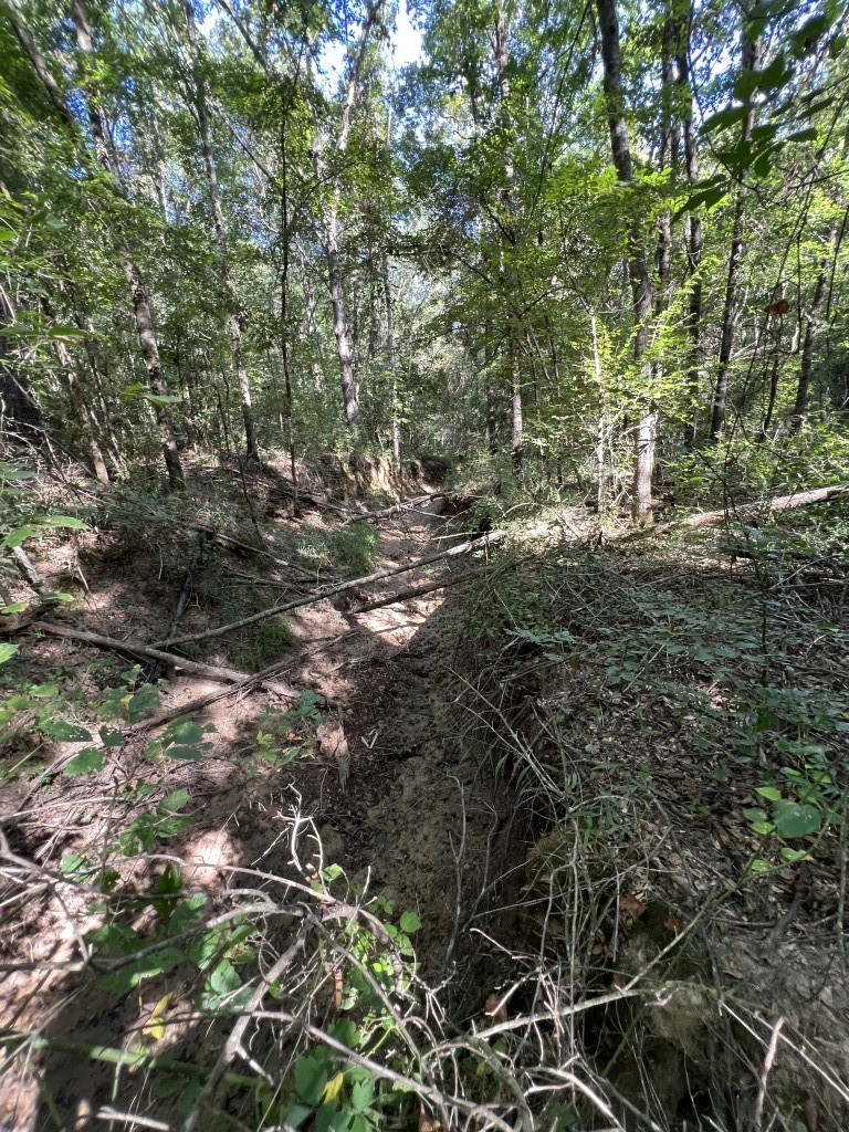 Tbd County Road 168-1 Long Branch TX 75669
