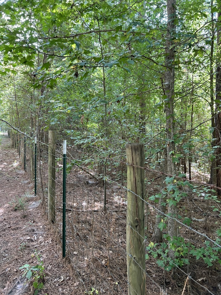 Tbd County Road 168-1 Long Branch TX 75669