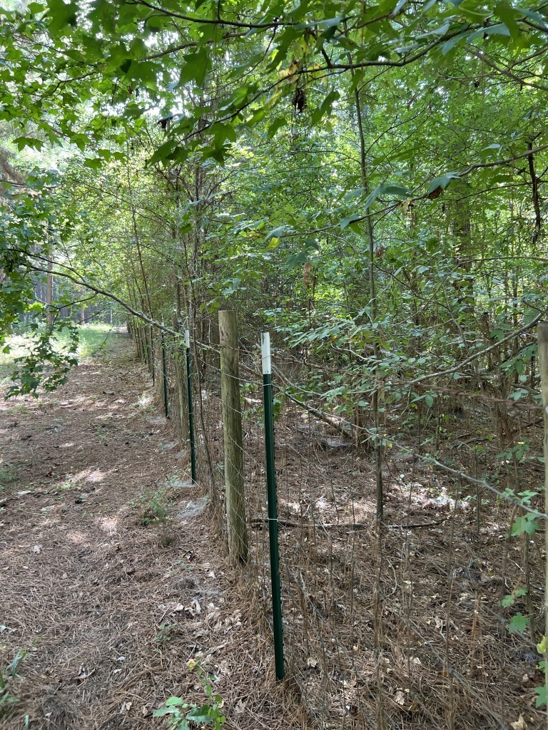 Tbd County Road 168-1 Long Branch TX 75669