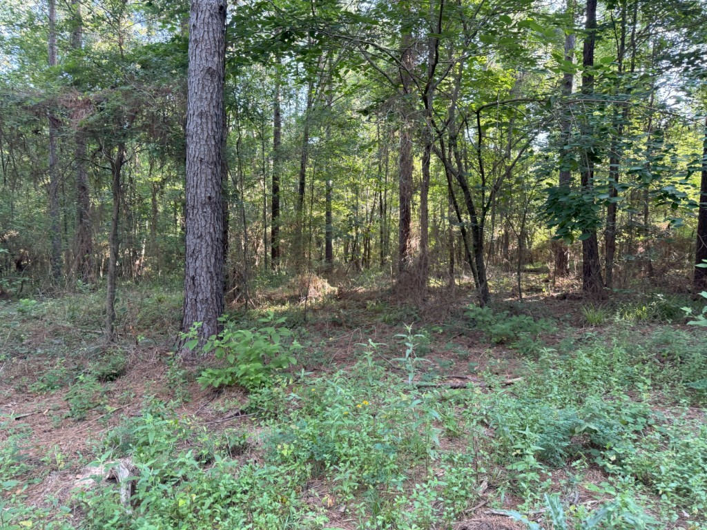 Tbd County Road 168-1 Long Branch TX 75669