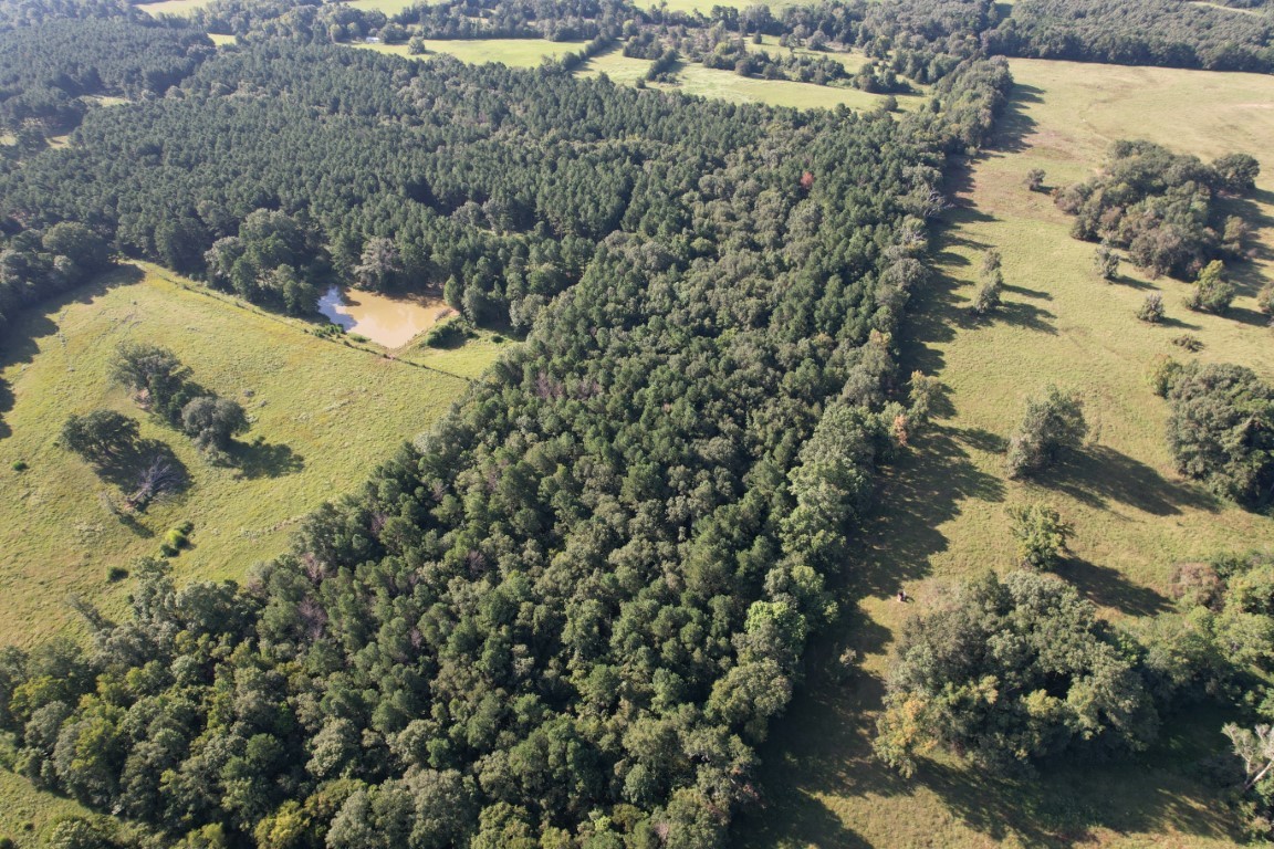 Tbd County Road 168-1 Long Branch TX 75669